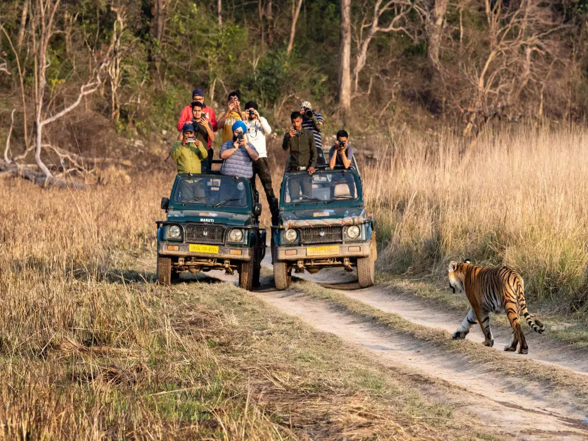 Dhela Safari Zone