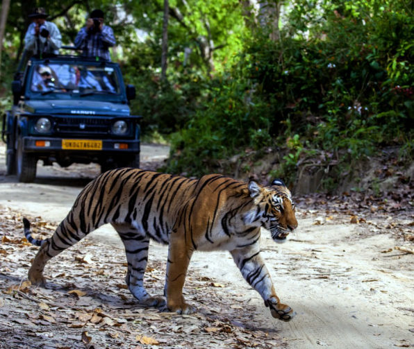 Tedha (Sitawani) Safari Zone
